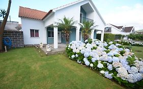 Casinha Das Hortensias