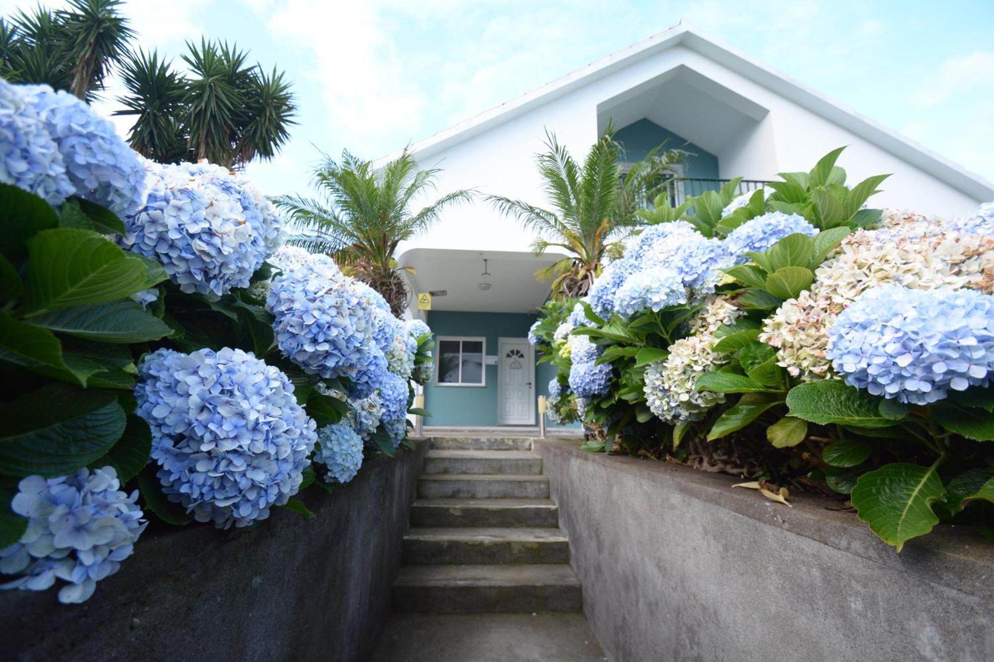 Ferienwohnung Casinha Das Hortensias Horta  Exterior foto
